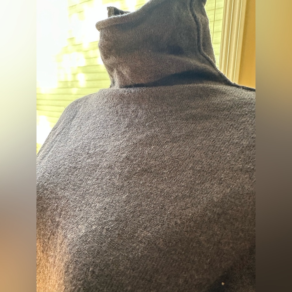 Banana Republic Vintage • extra-fine Italian merino wool turtleneck • size s